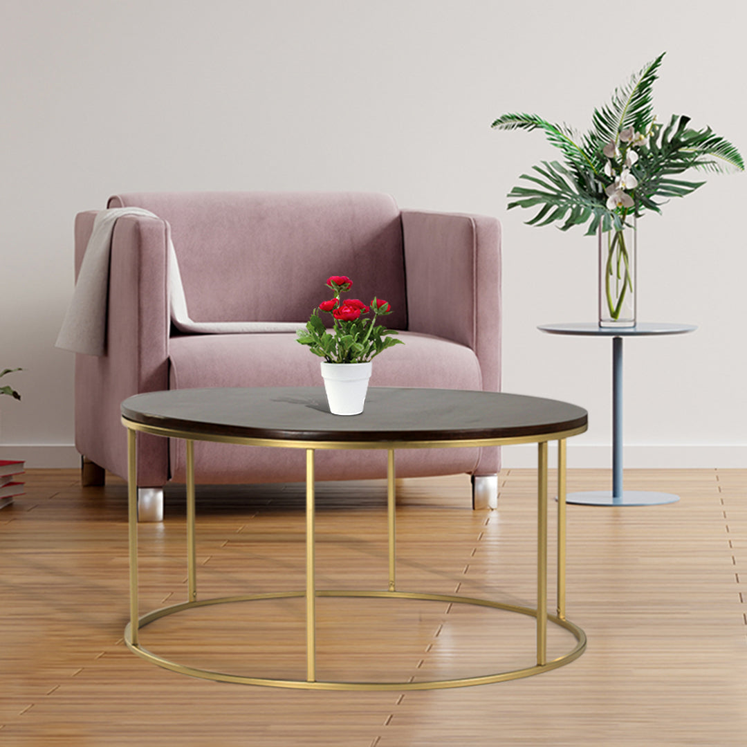 JavaJunction Wooden Coffee Table In Gold Finish