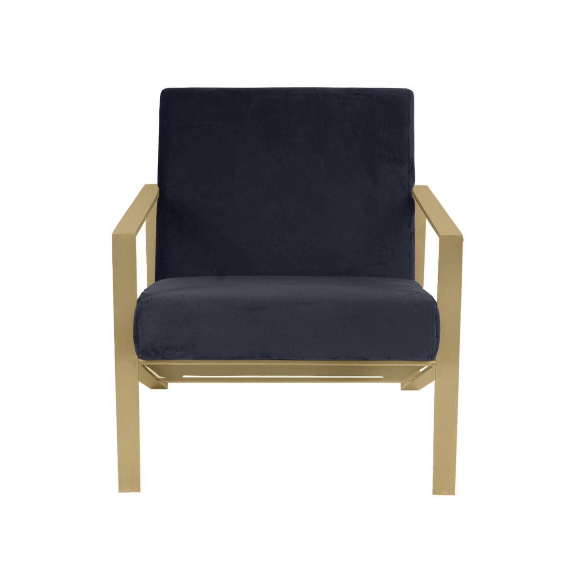 Mystique Medley Dark Grey Velvet Fabric Lounge Chair In Gold Finish