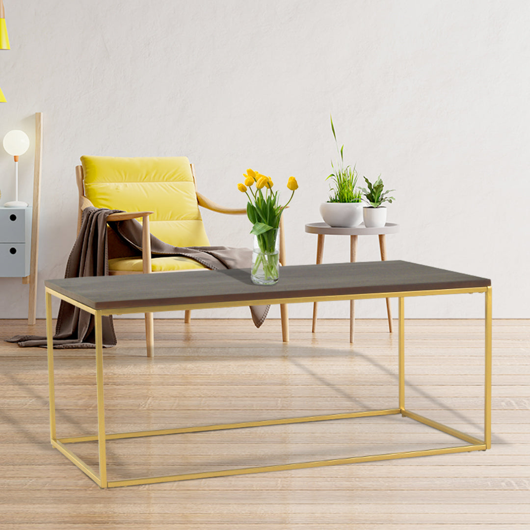 JavaJunction Wooden Coffee Table In Gold Finish