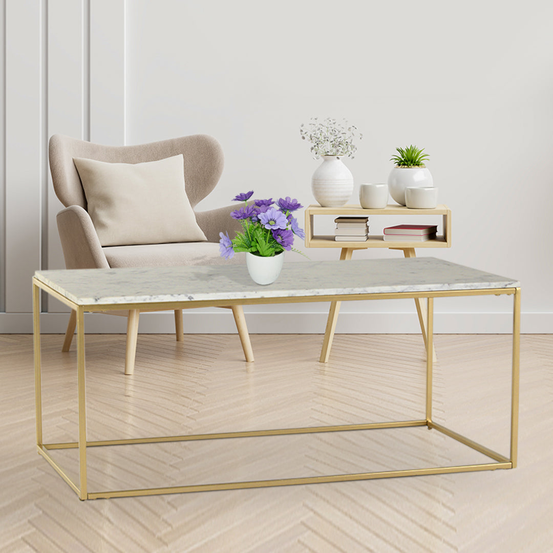 JavaJunction Marble Coffee Table In Gold Finish